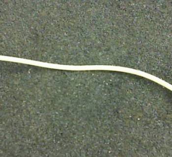 WIRE HARNESS, ALT 60A XTI