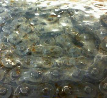 CHAIN, RC50-2x80P-MIDDLE